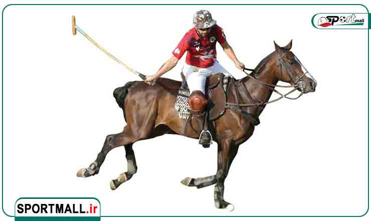 نکات حرفه ای در انتخاب چوب چوگان